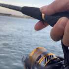 タチウオ釣り体験完全ガイド: 初心者から上級者までの船釣りの楽しみ方