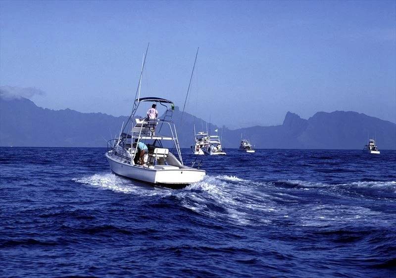 千葉県の釣り船での釣果をスタッフたちがブログで発信
