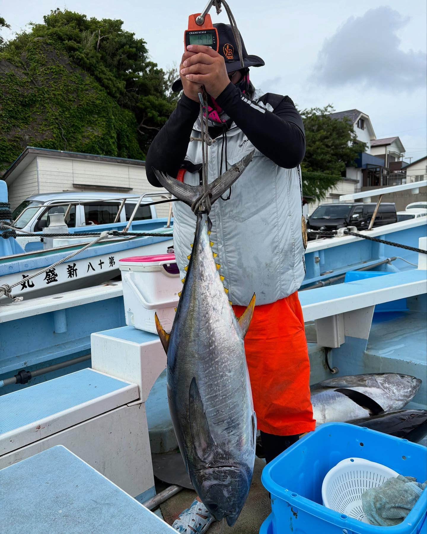 フカセのキハダマグロ船