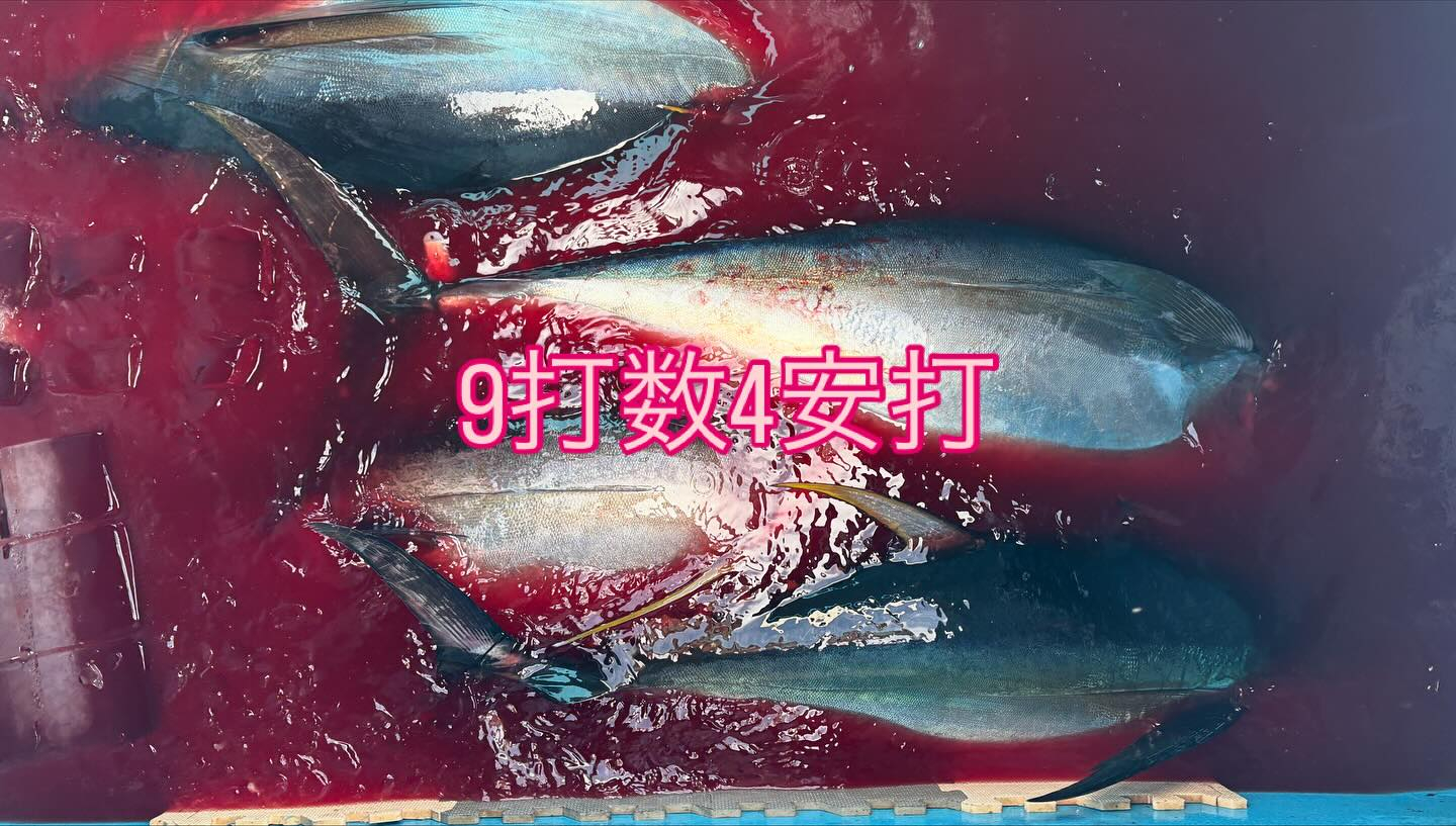 キハダ船