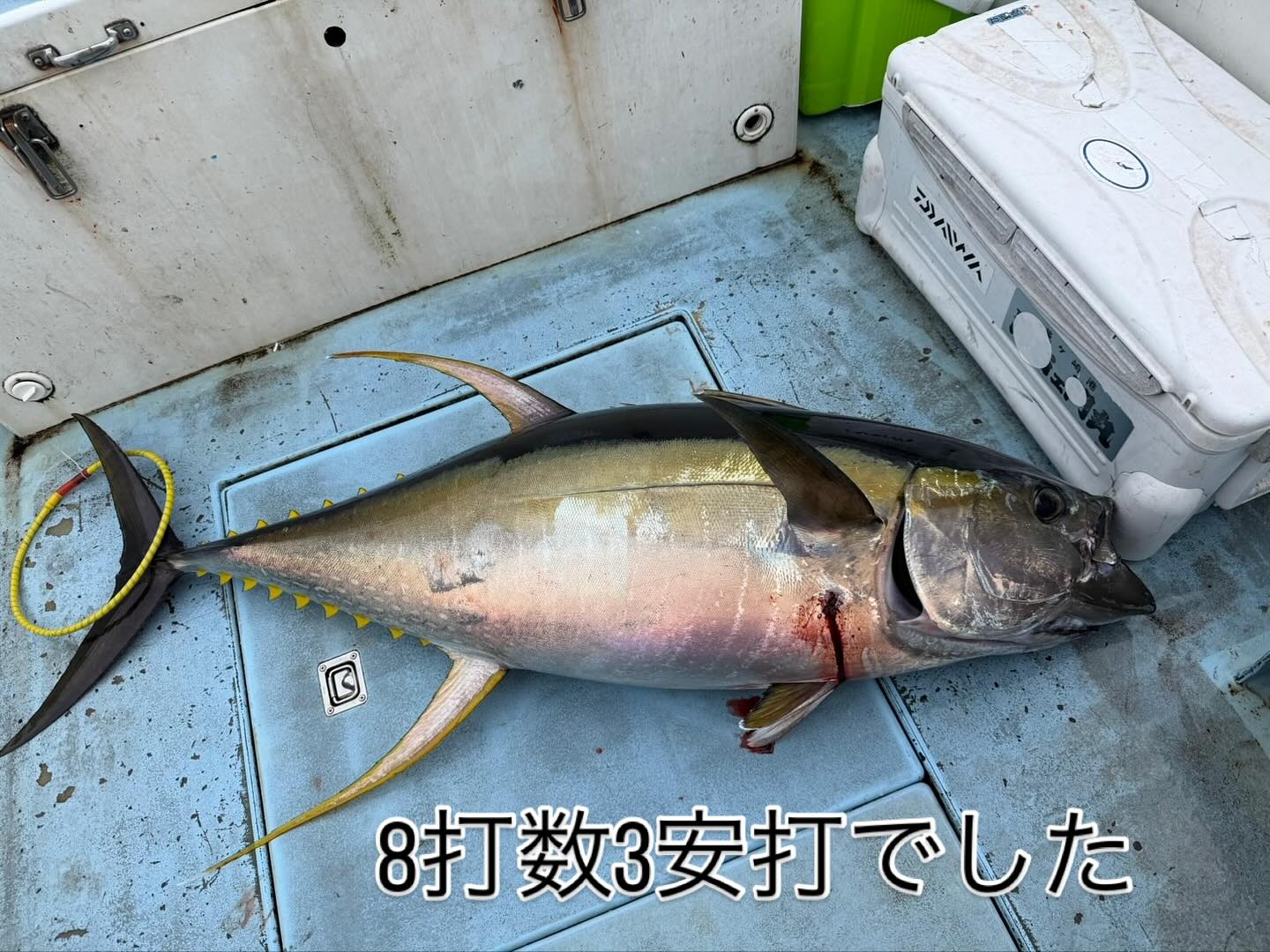 8打数3安打でした