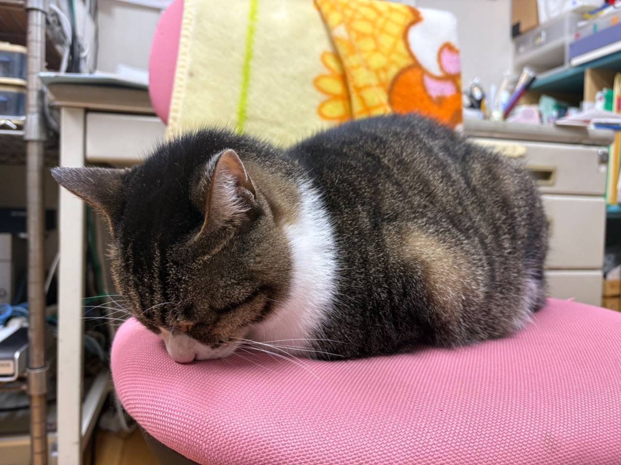 1０月２２日（水）お休み