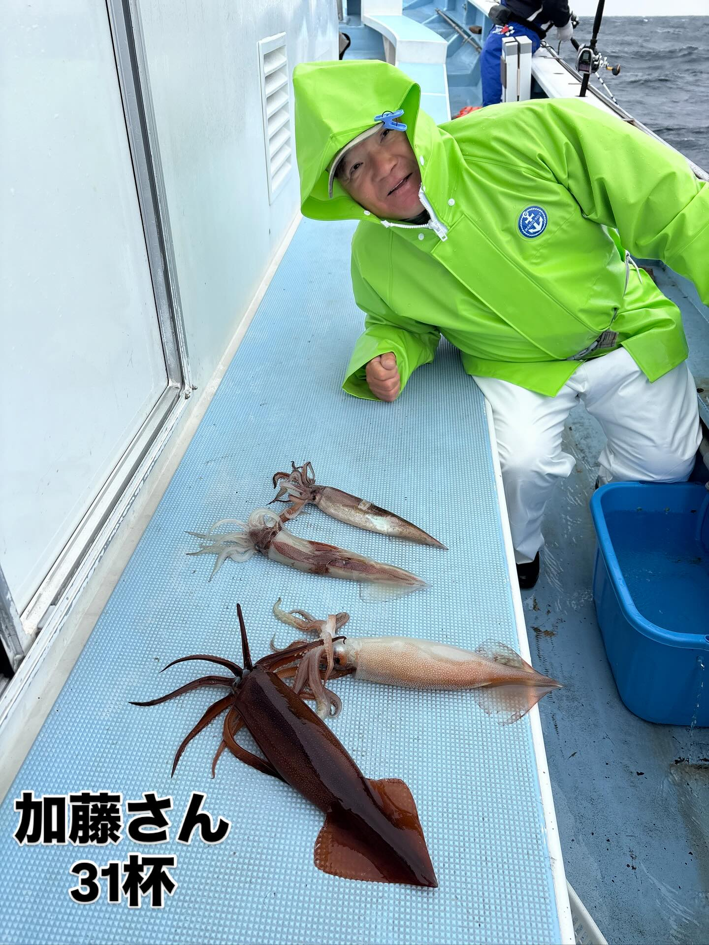今日はイカ船
