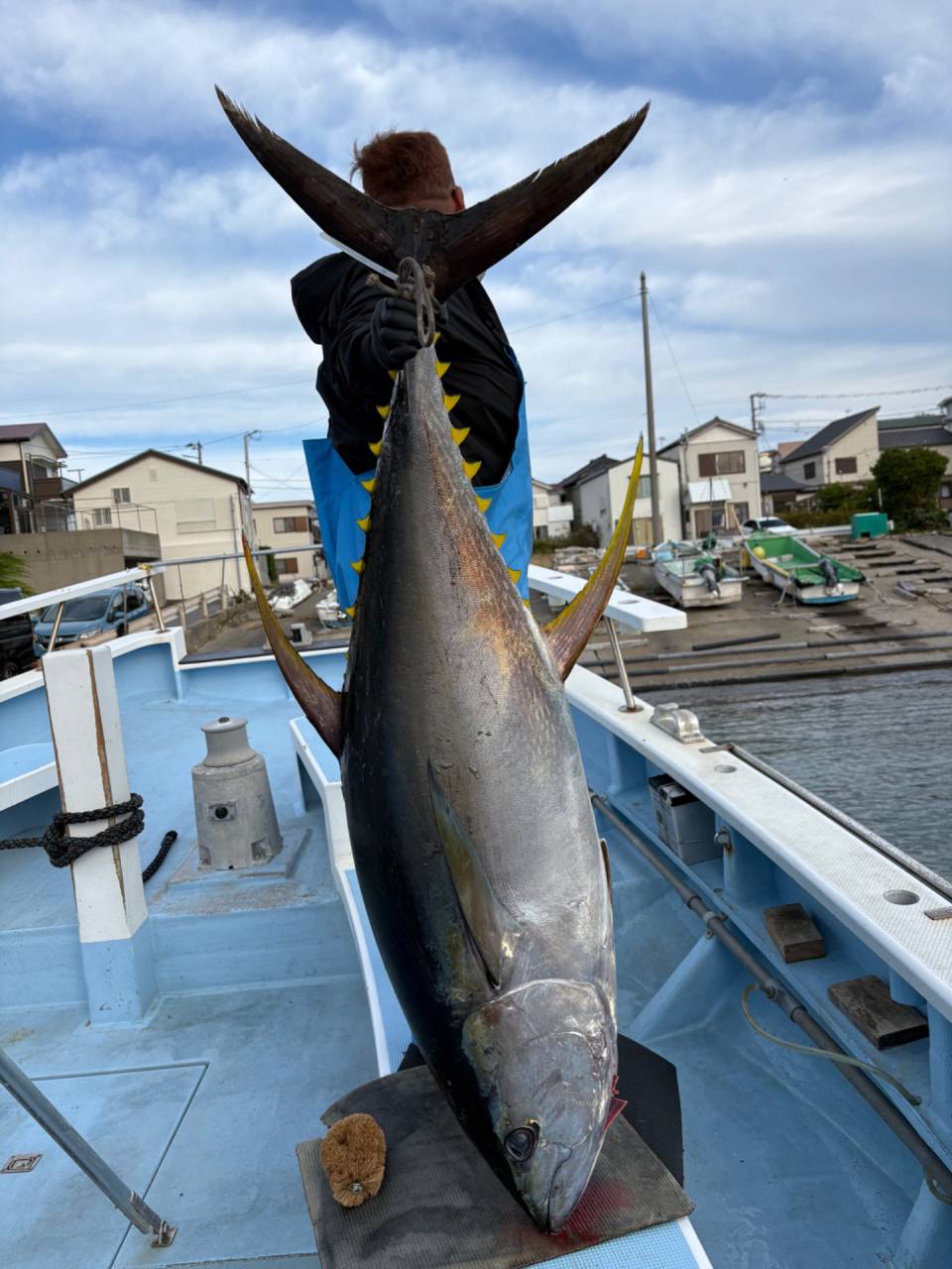 １１月４日（火）キハダ/カツオ