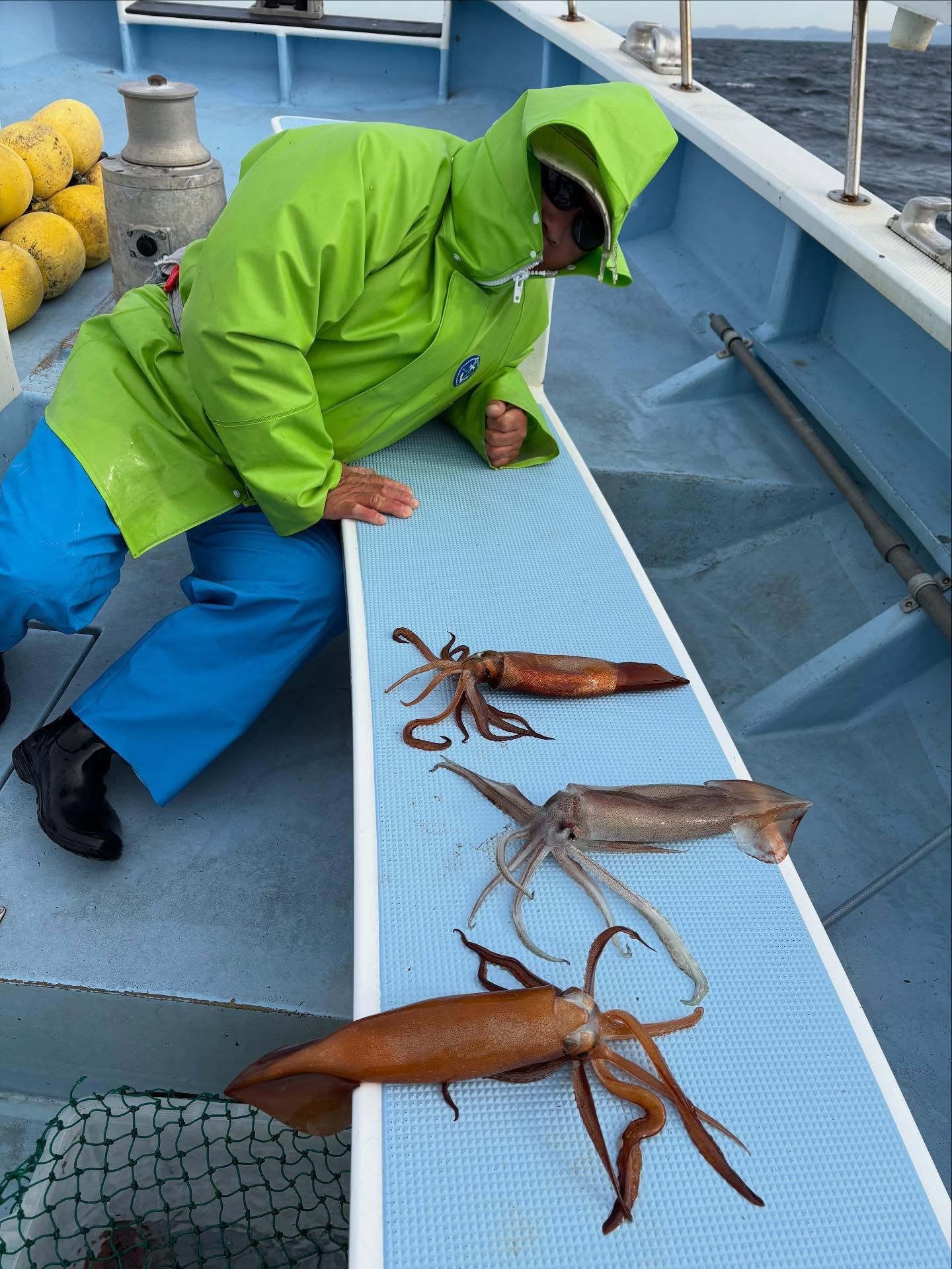 スルメとヤリ船