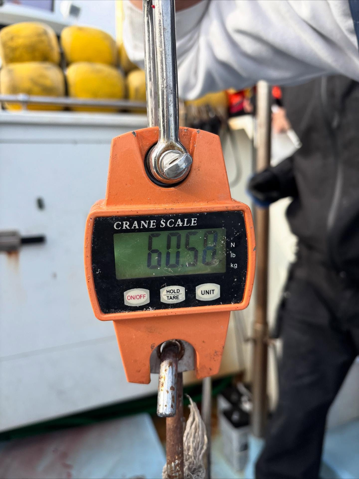 マダイ五目船とキハダ船