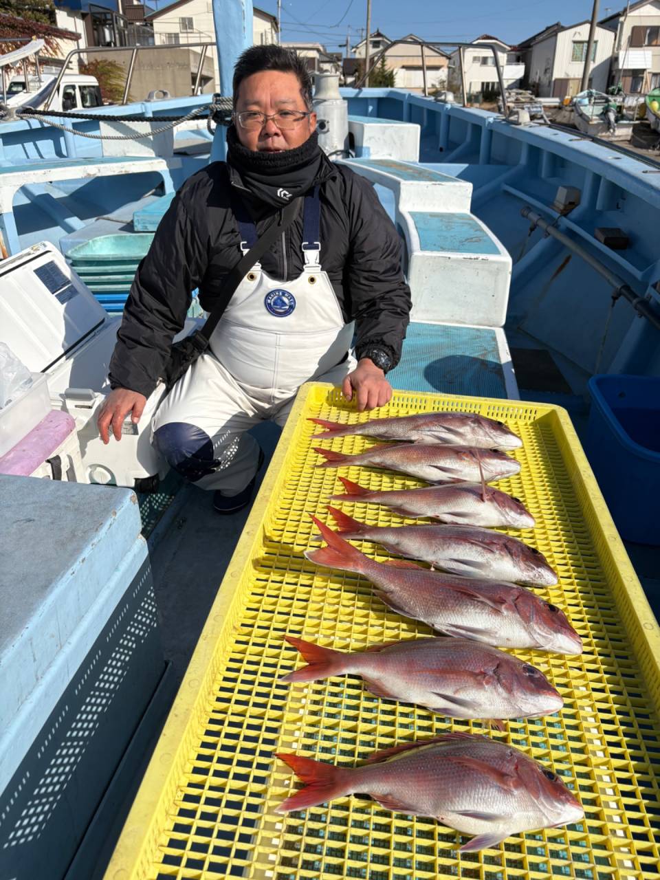 11月19日(水)マダイ