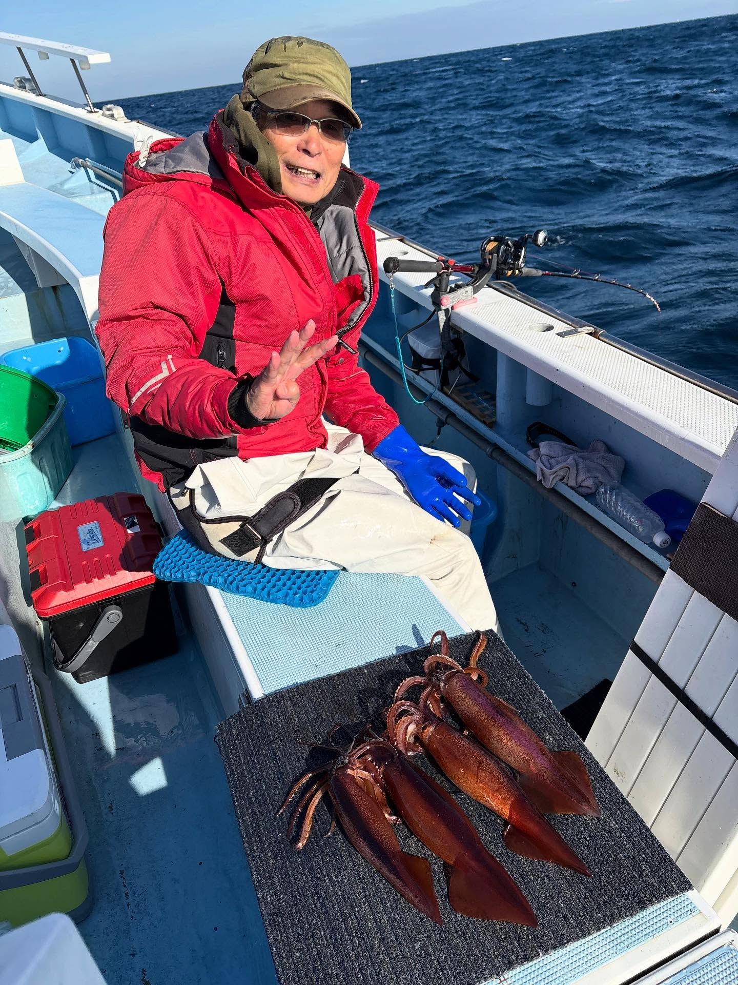 11月20日(木)ヤリイカ/スルメイカ