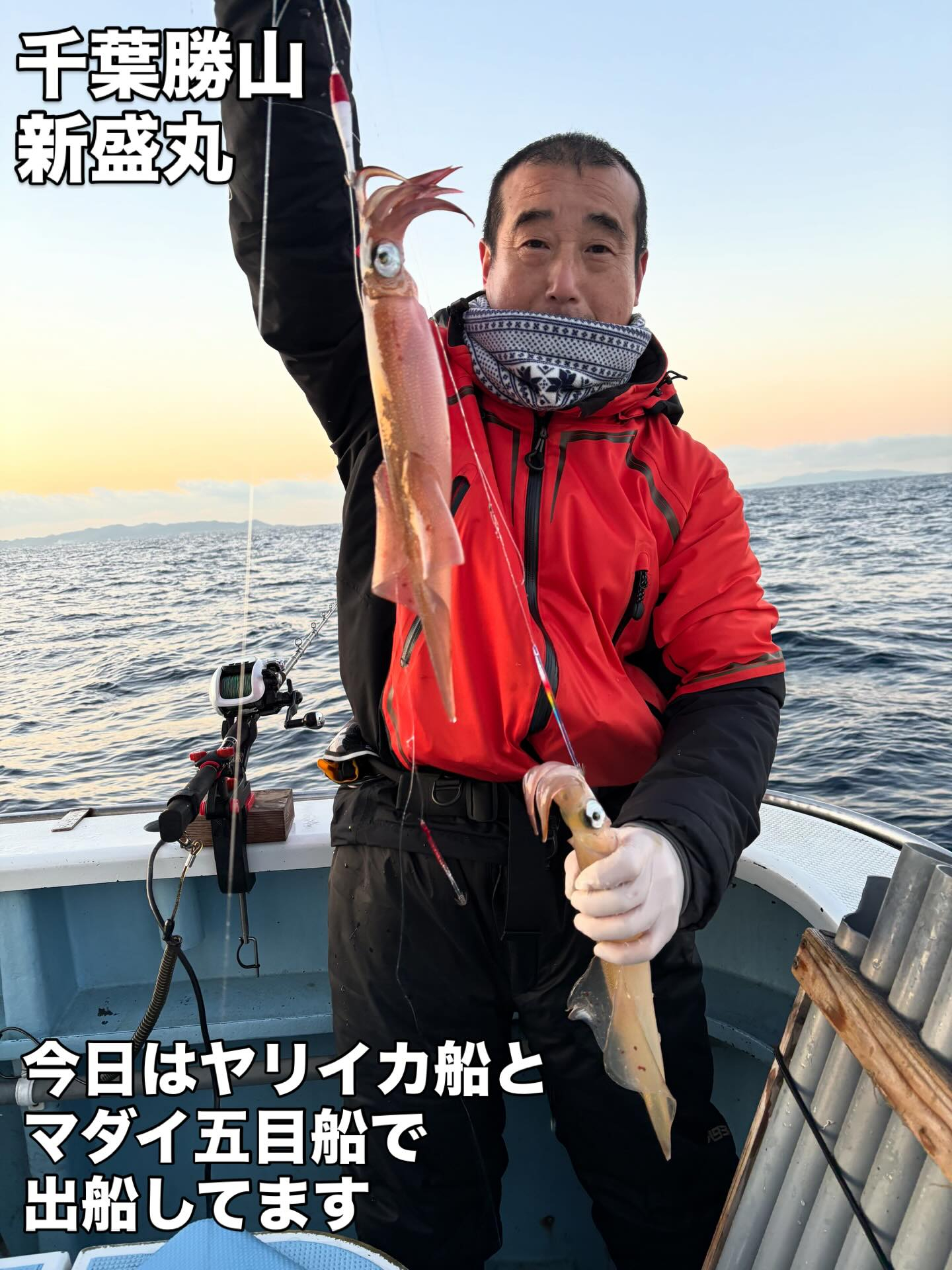 ヤリイカ船とマダイ五目船で出船してます