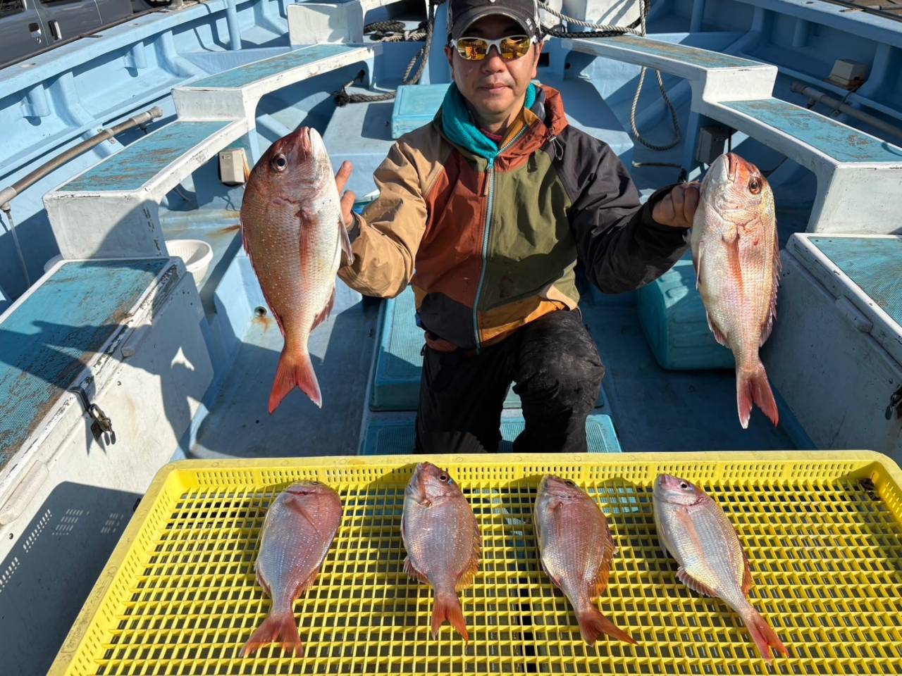 １２月１７日（水）ヤリイカ/マダイ
