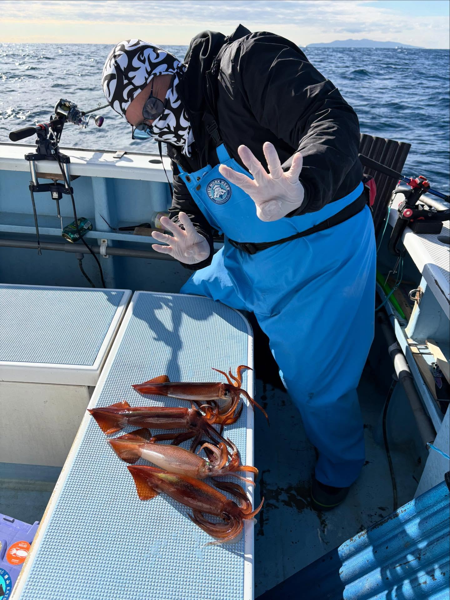 １２月１８日（木）ヤリイカ