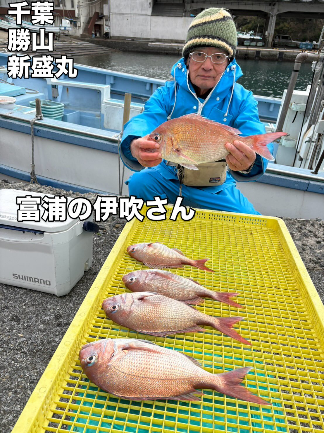 １２月２７日（土）ヤリイカ/マダイ