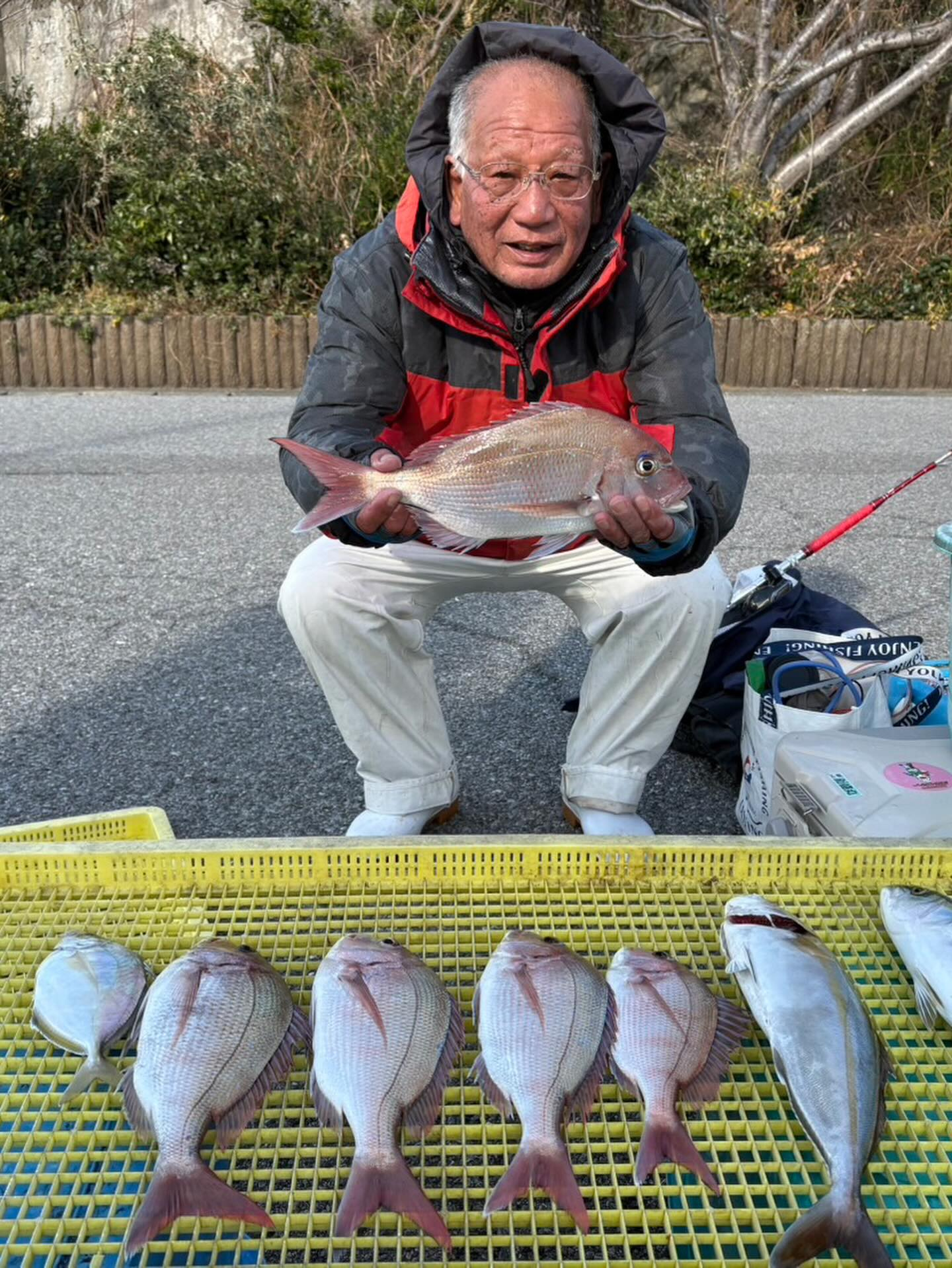 １２月３１日（水）ヤリイカ/マダイ