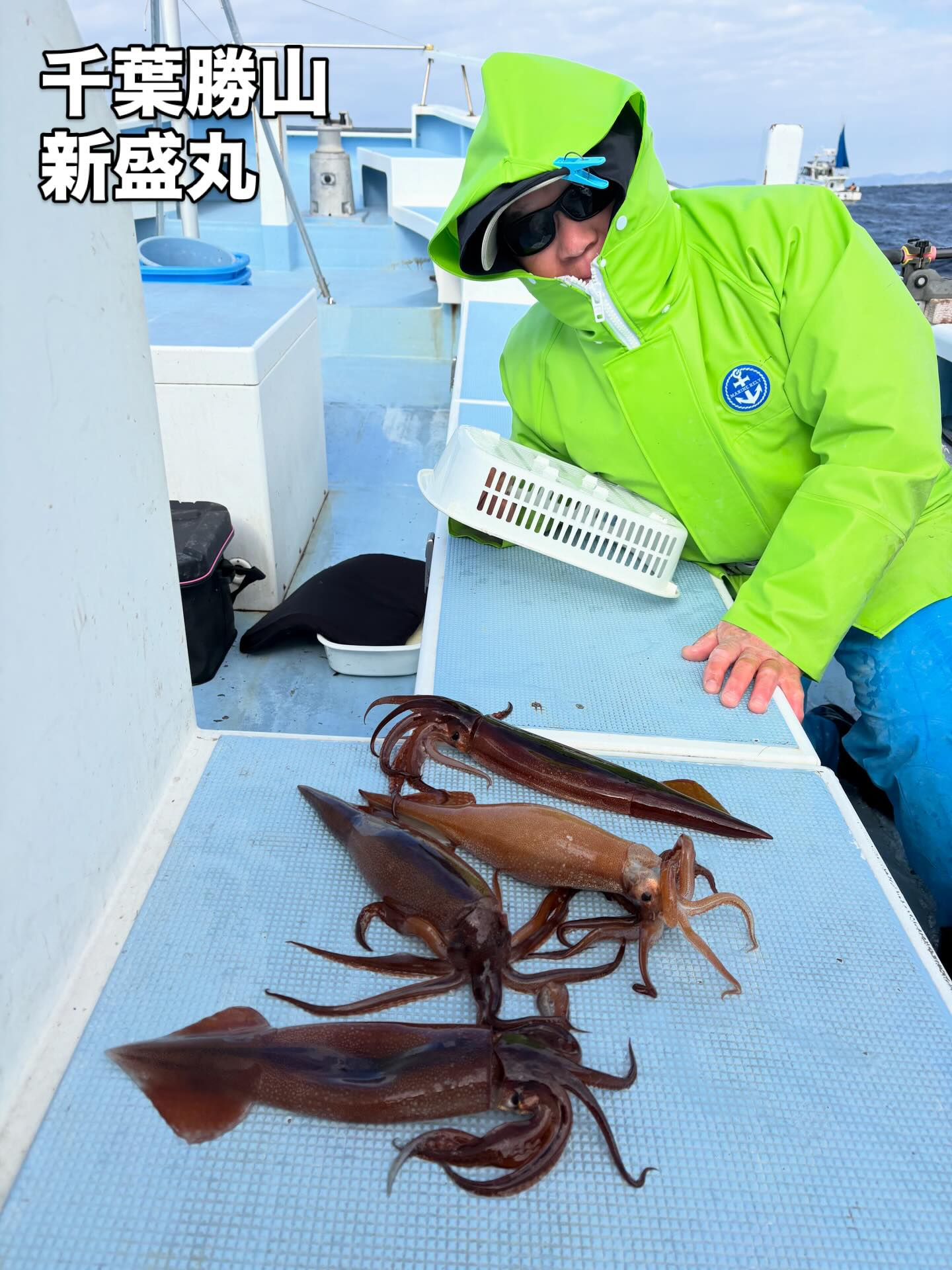 1月28日（水）ヤリイカ