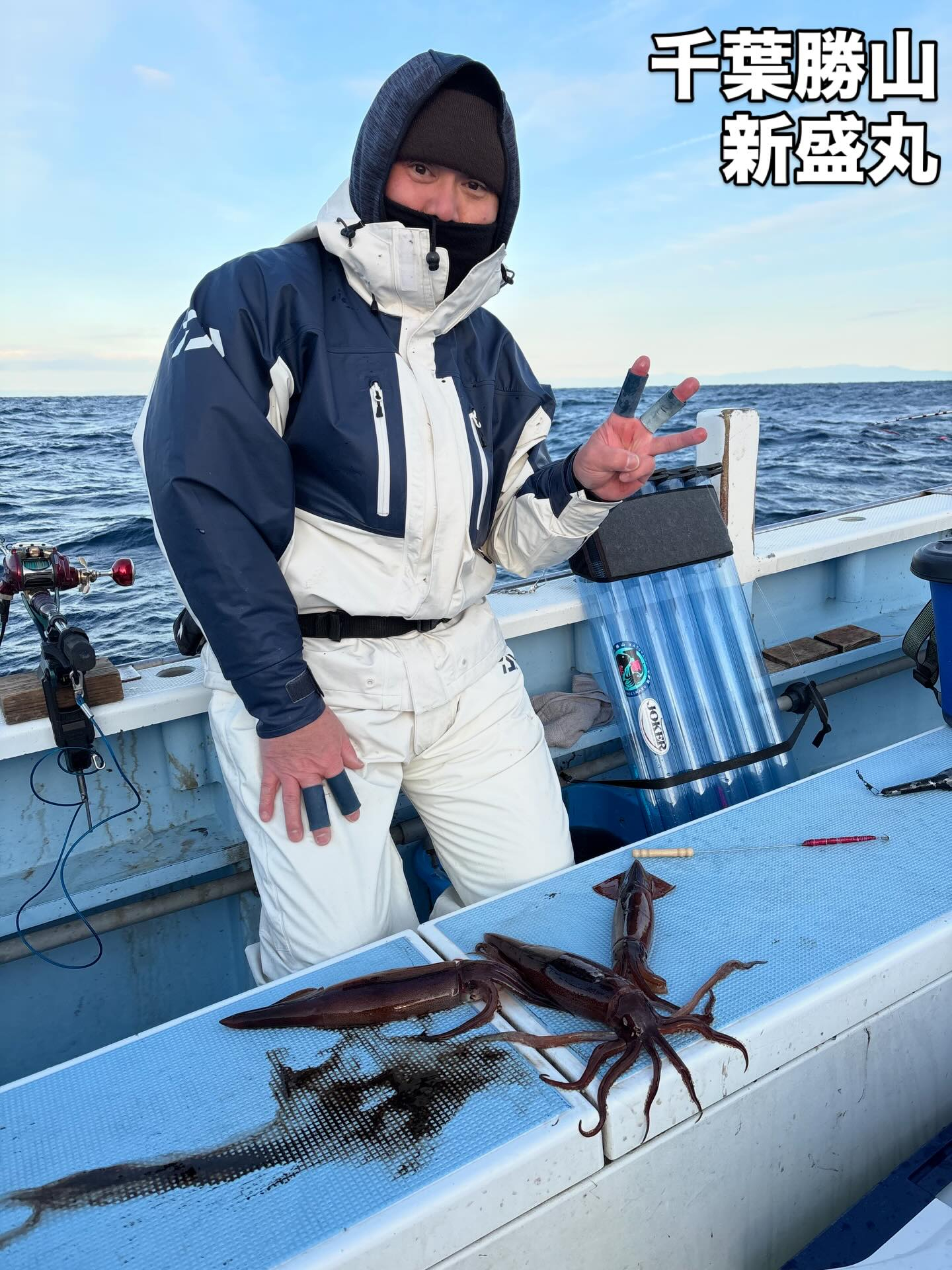 1月31日（土）ヤリイカ