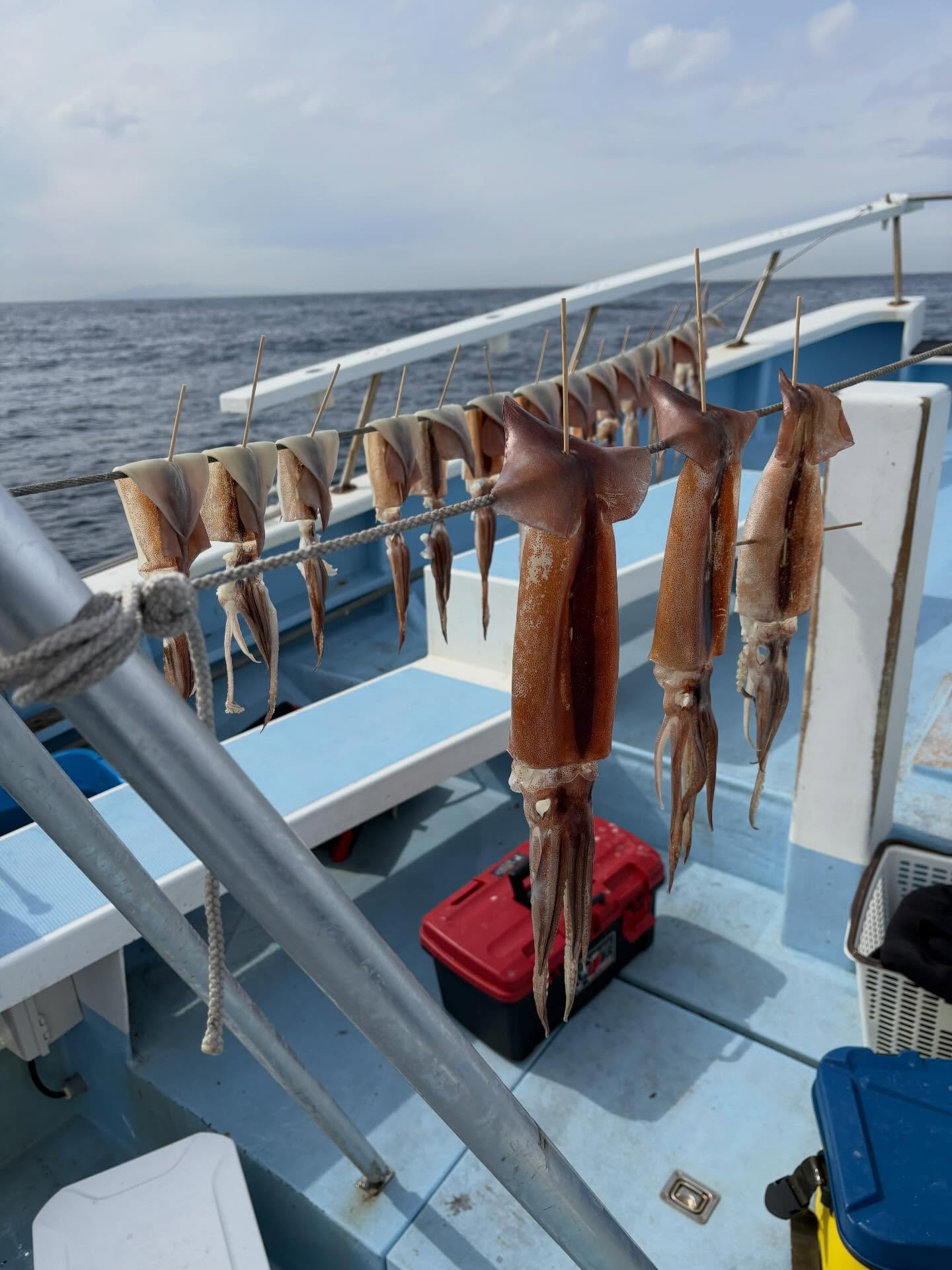 ヤリイカ船とトラフグ船