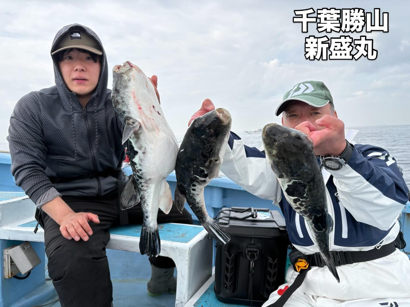 ３月３０日（月）トラフグ