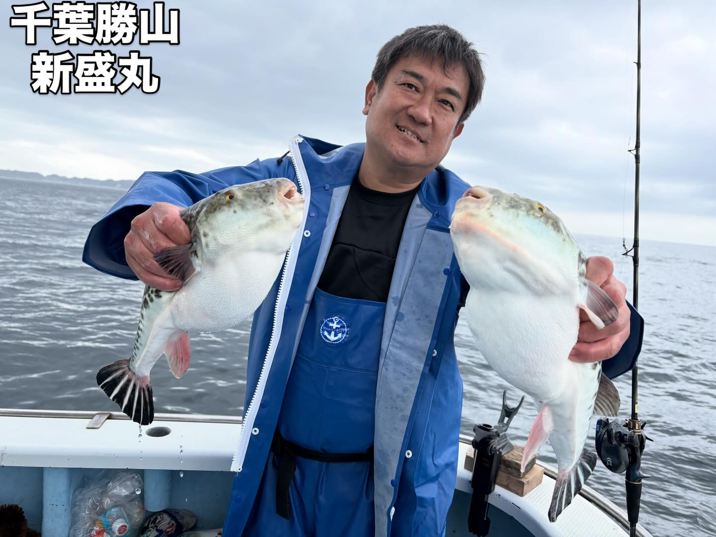 ４月１日（水）トラフグ