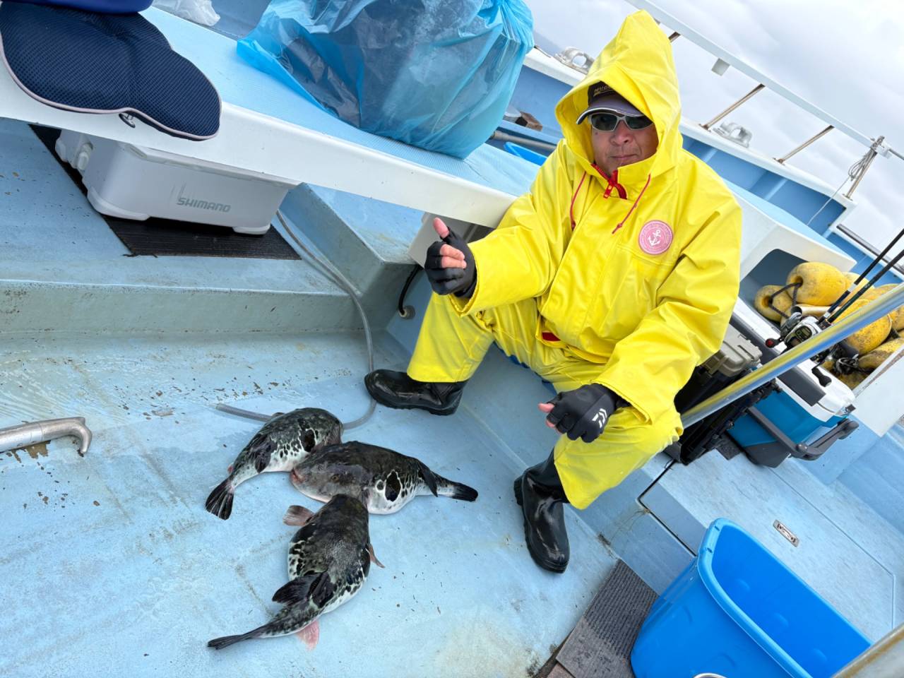 ４月２日（木）トラフグ