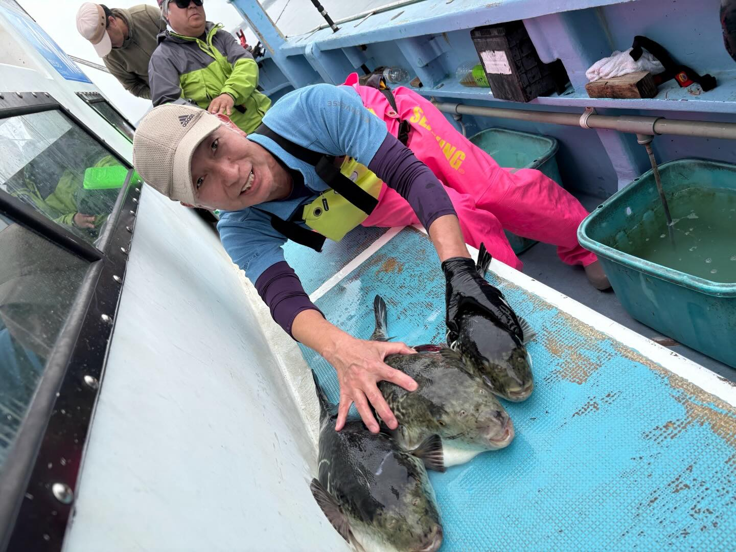 4月13日(月)トラフグ