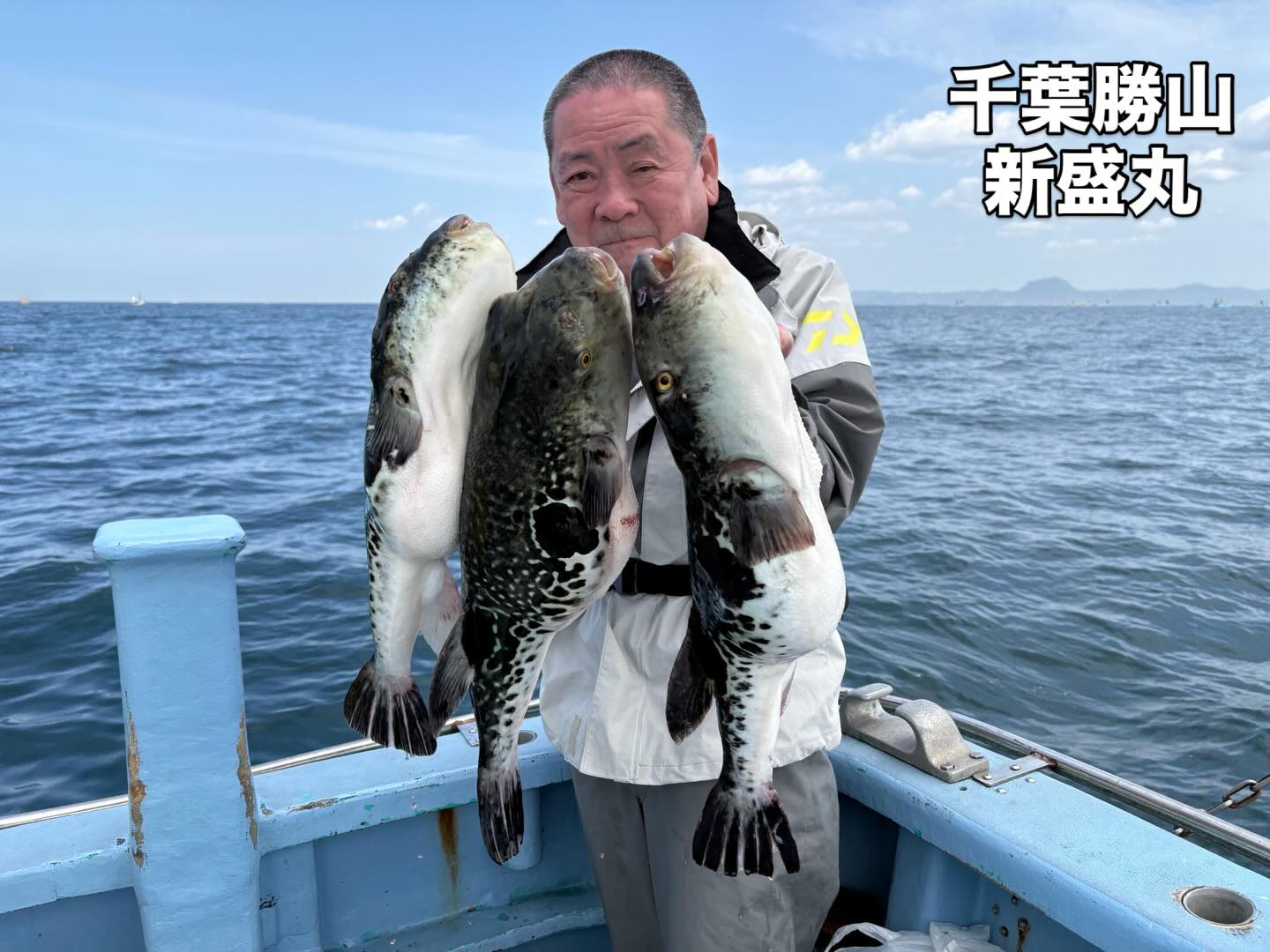 ４月１９日（日）トラフグ