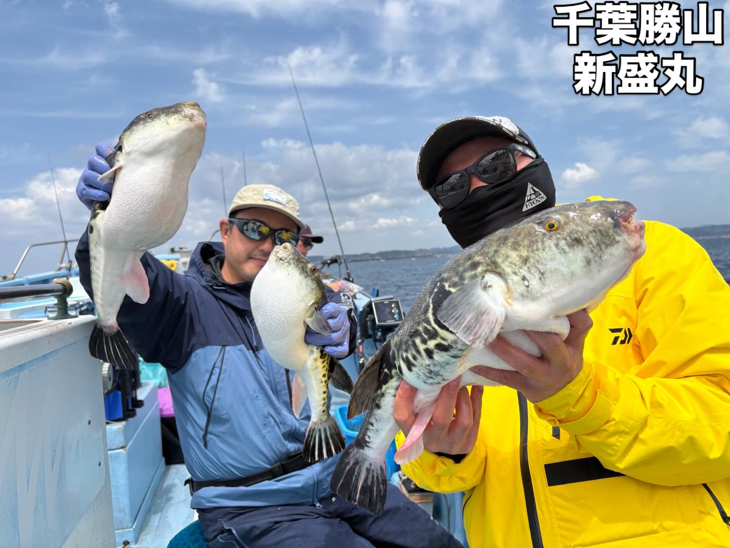 ４月２０日（月）トラフグ