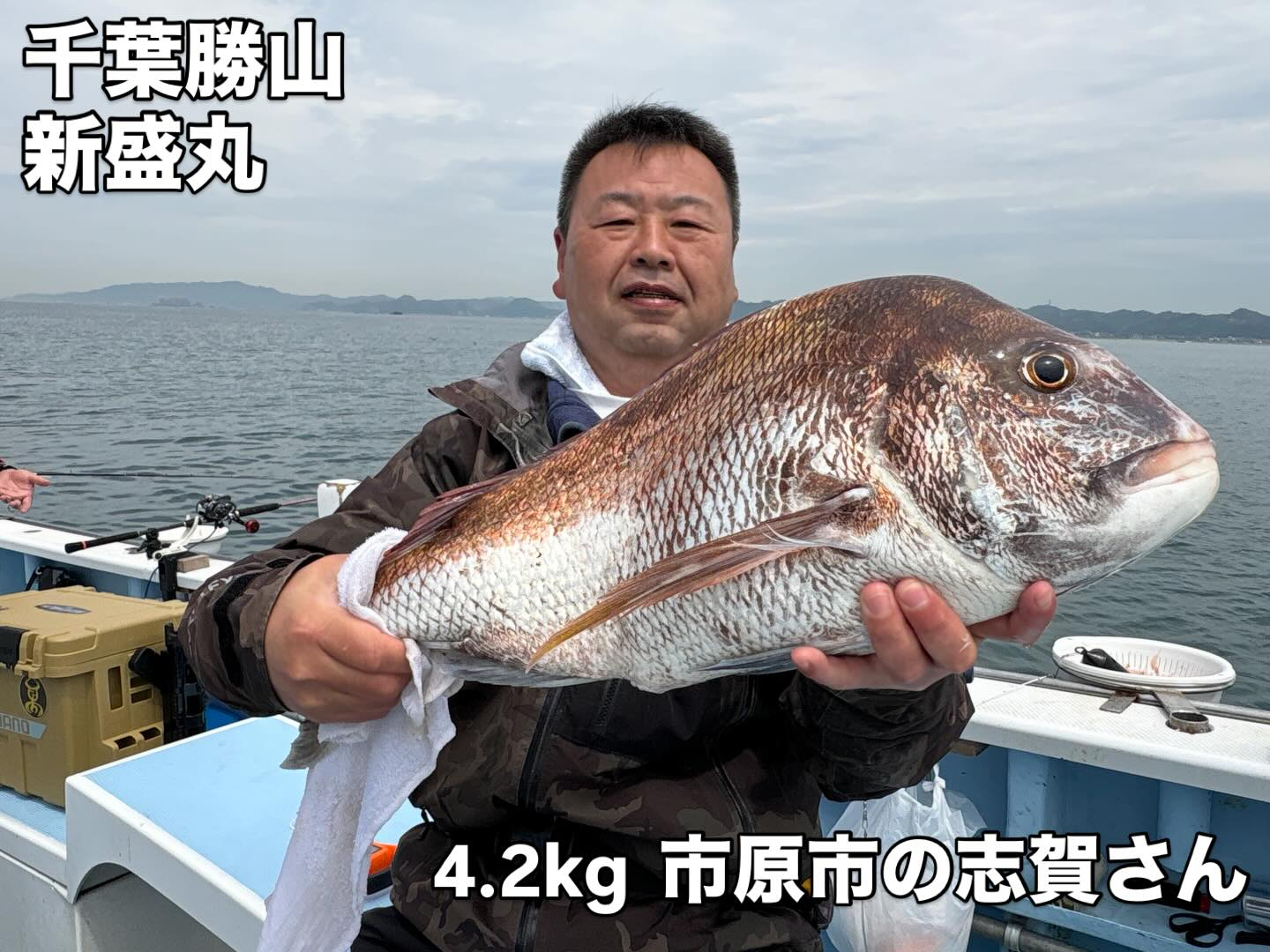 マダイとアジ