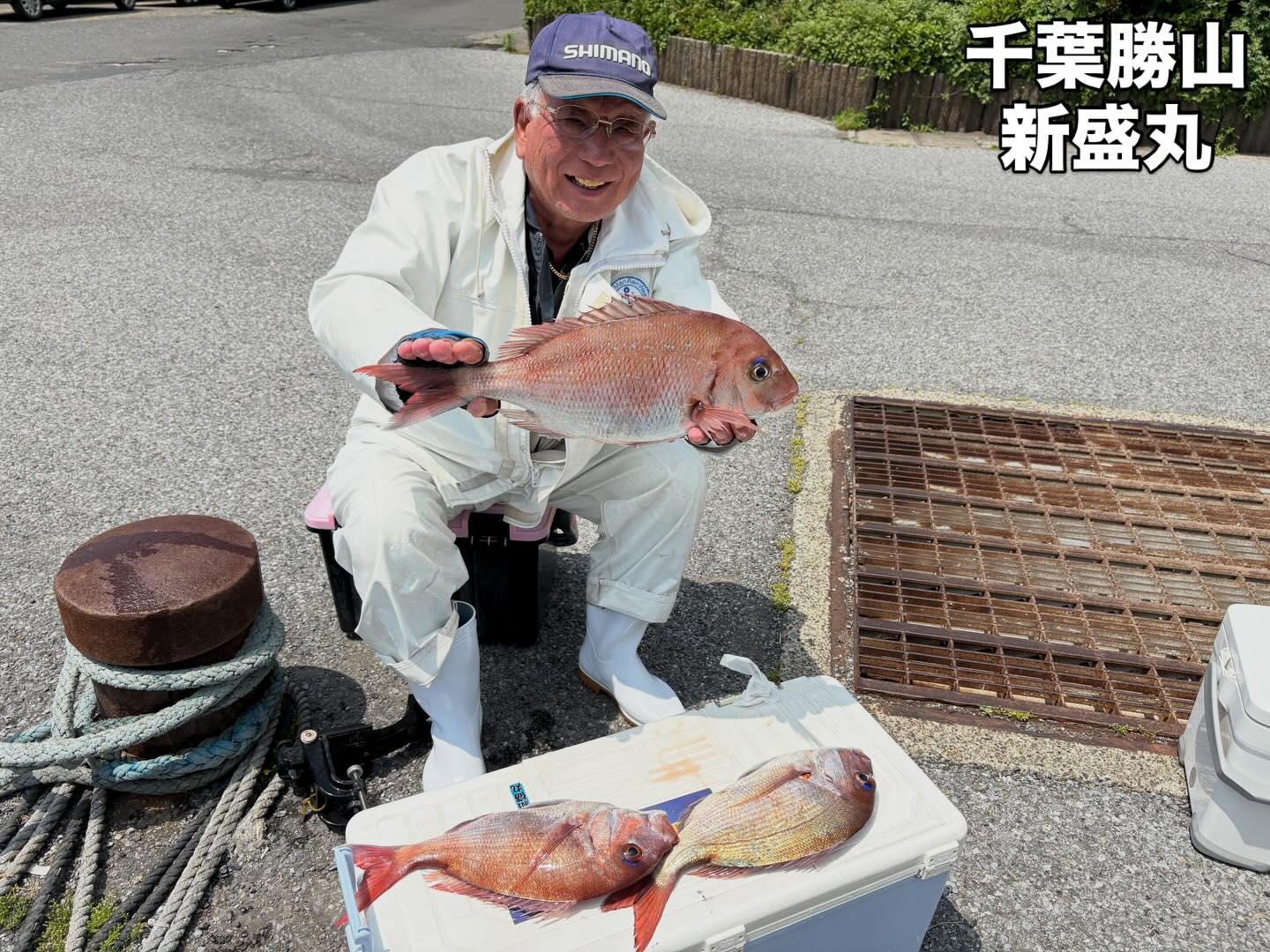 ５月１５日（金）マダイ