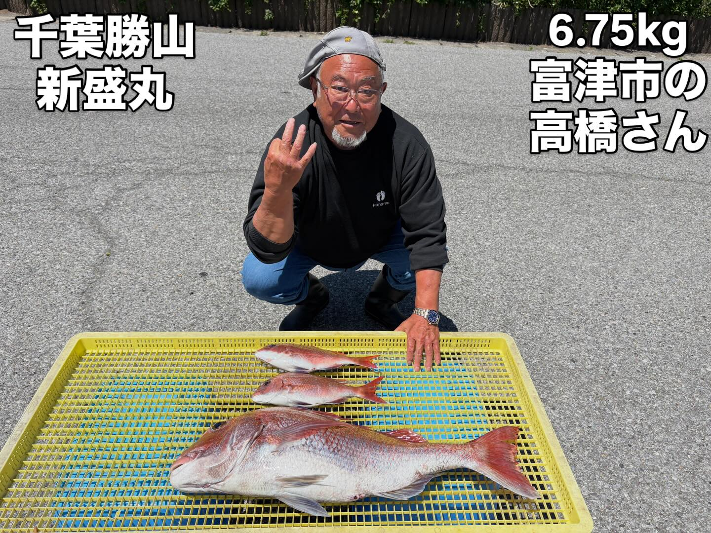 5月20日(水)マダイ
