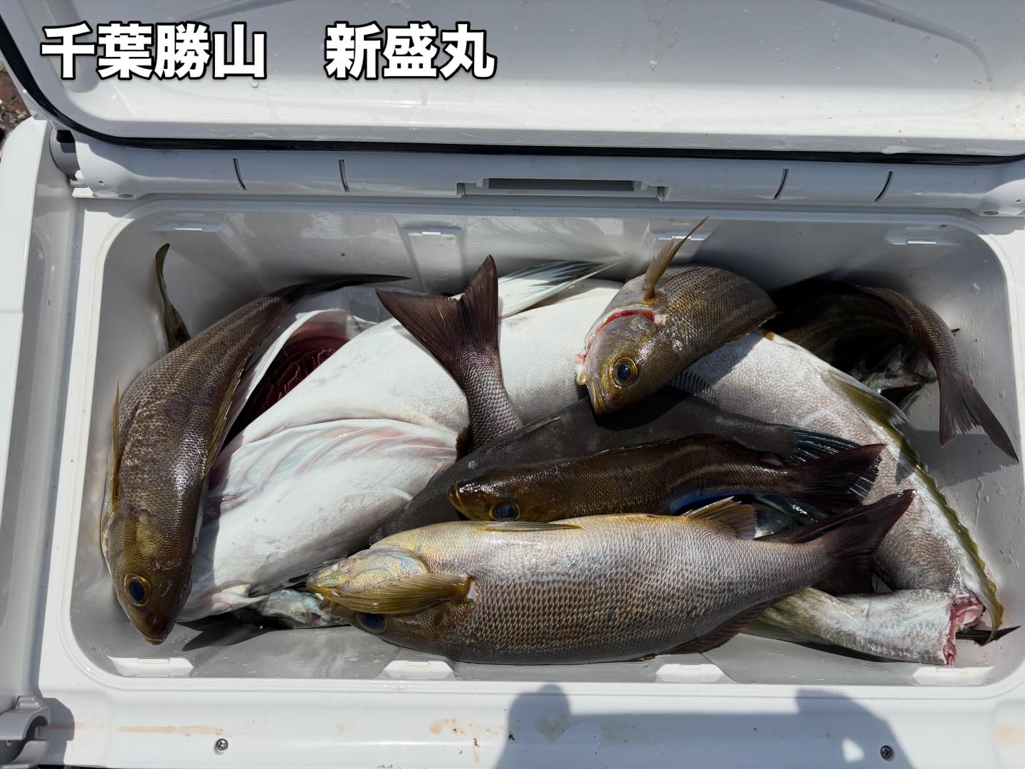アジイサキ船