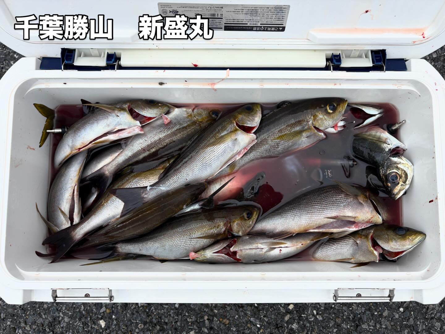 アジイサキ船