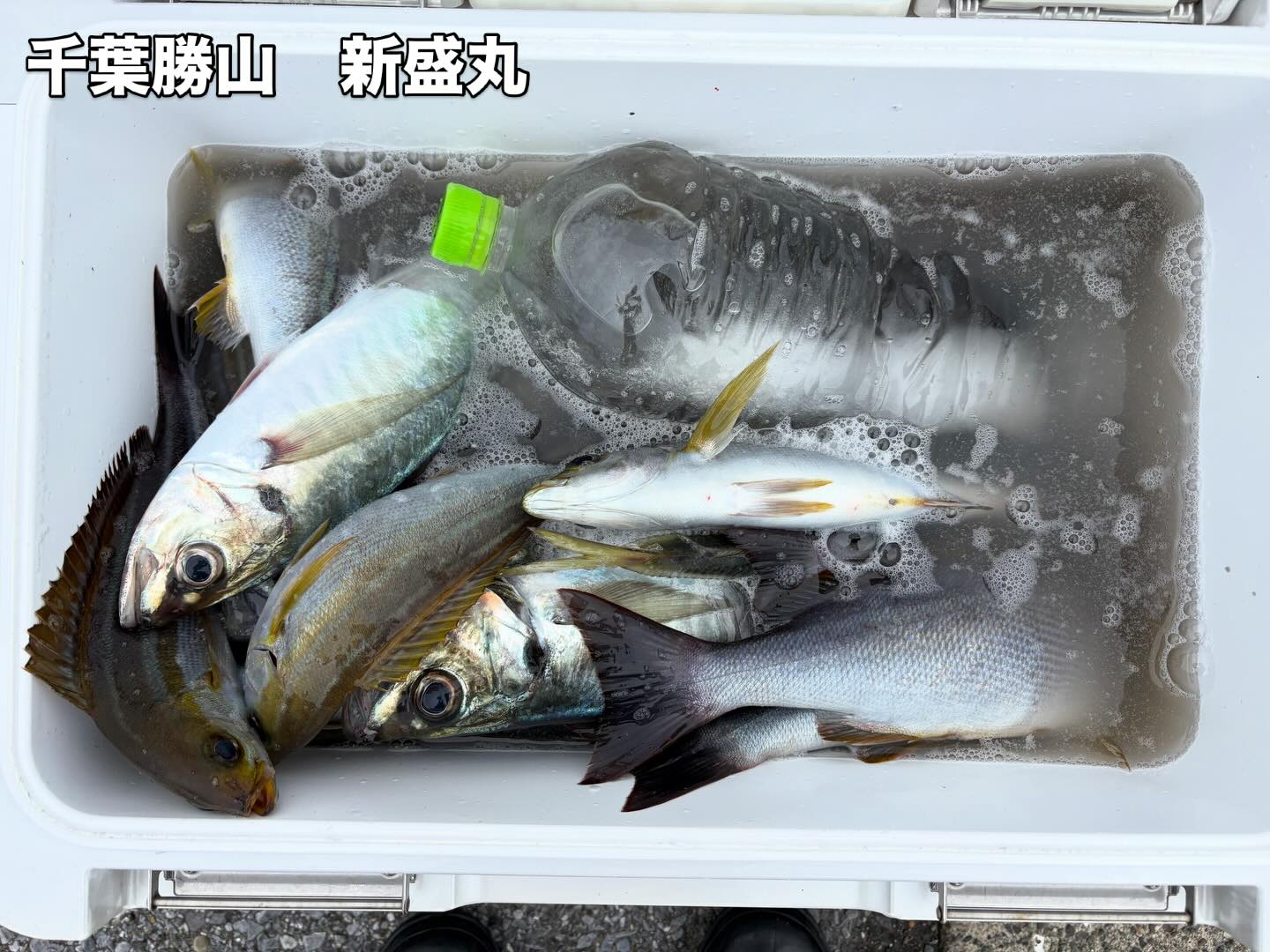 アジイサキ船