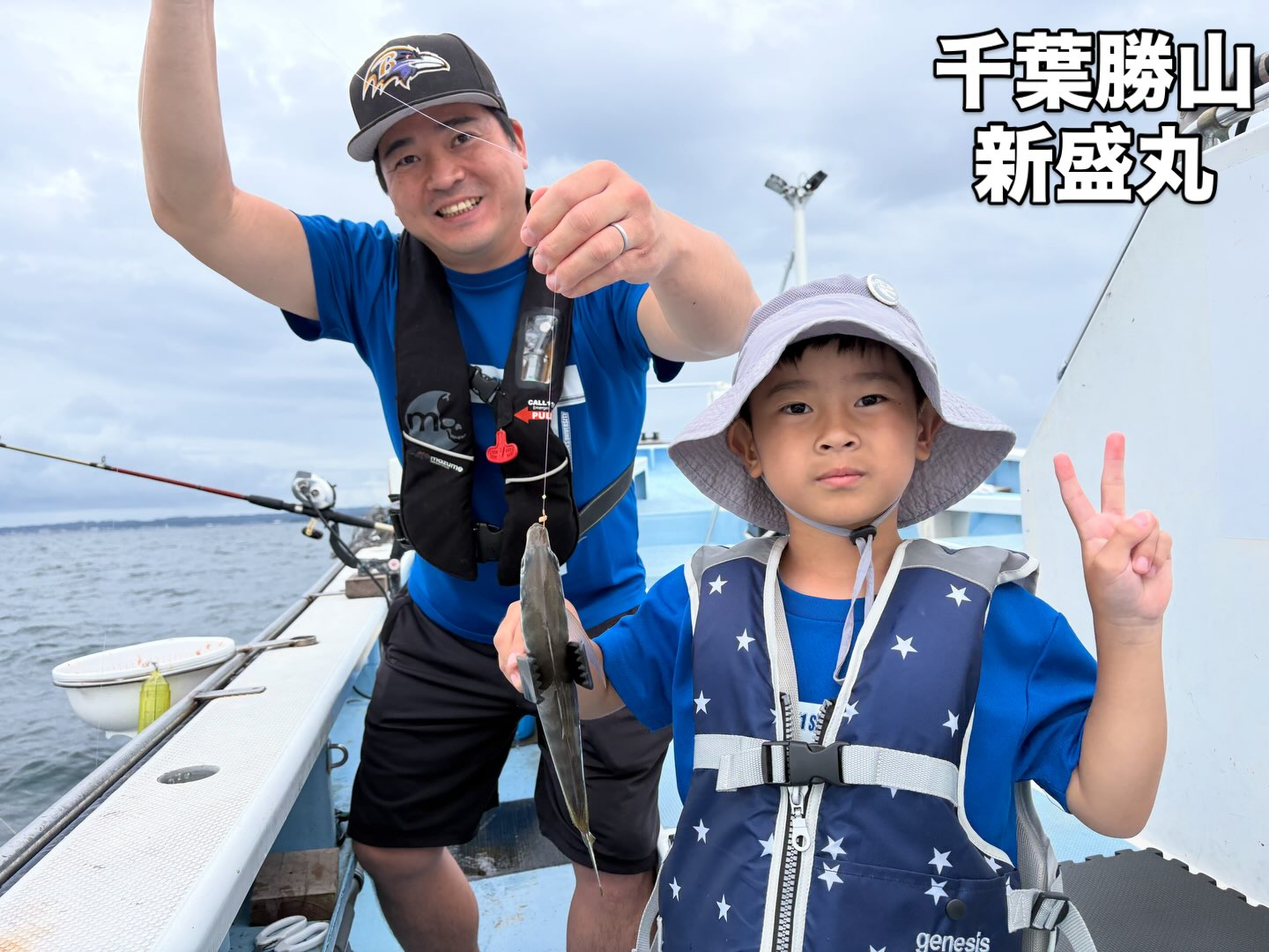 スルメ、マル、ファミリーアジ