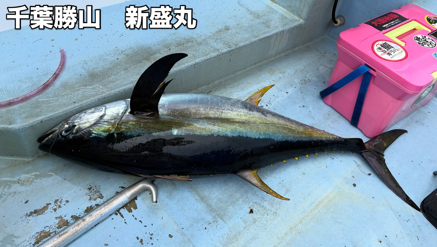 キハダマグロ船