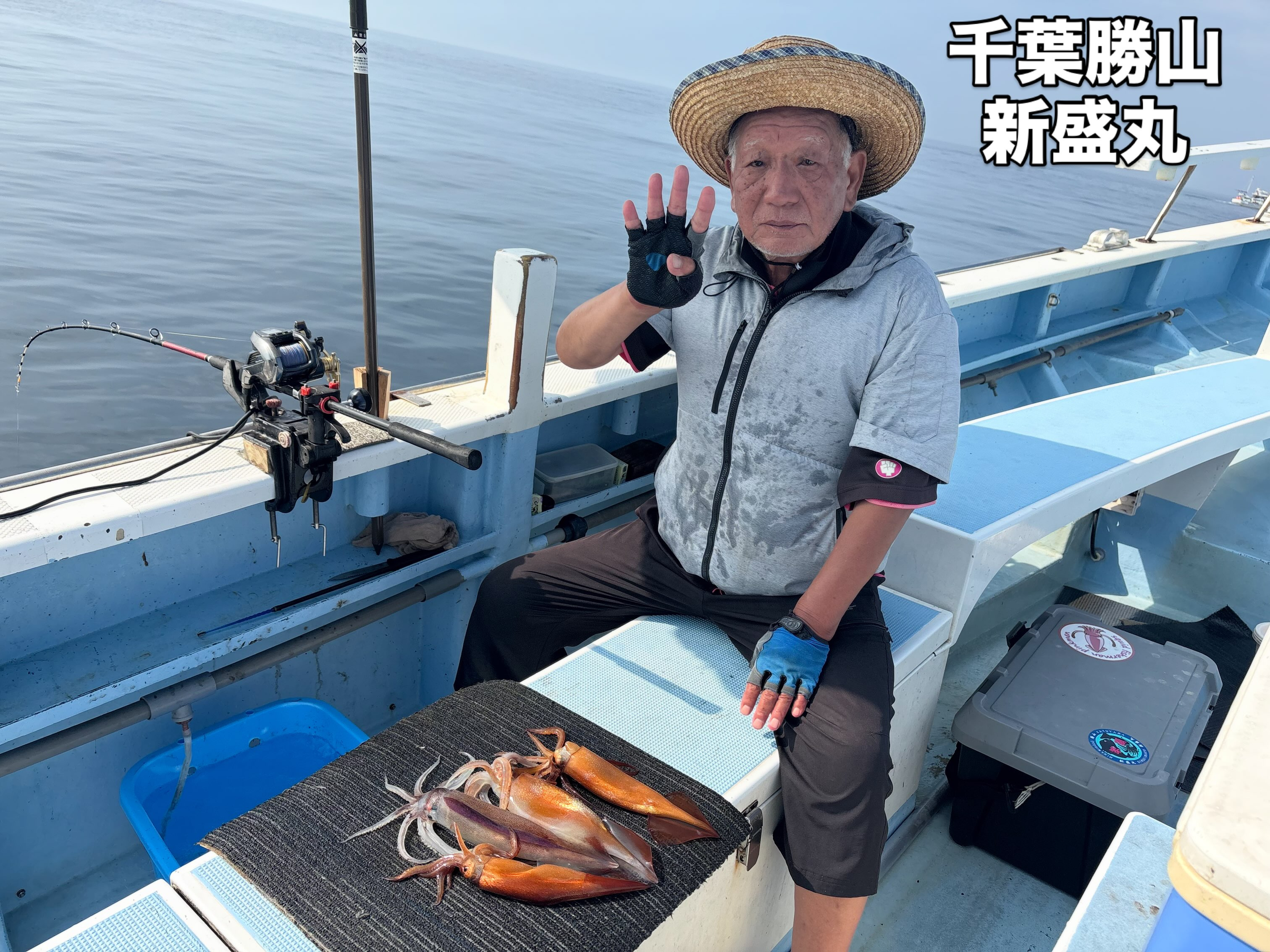 ８月２日（日）スルメイカ/マルイカ
