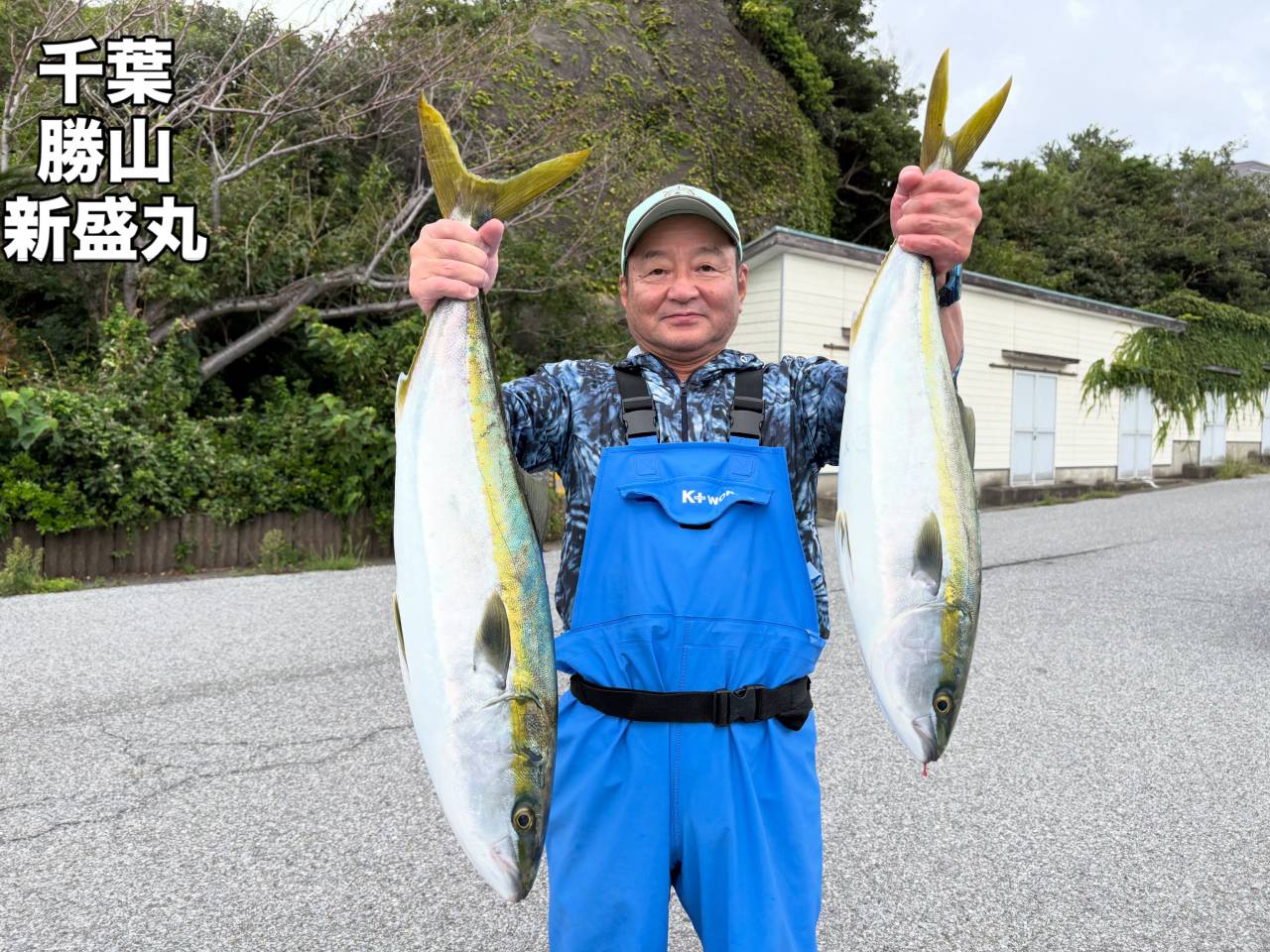 ９月１７日（木）ワラサ