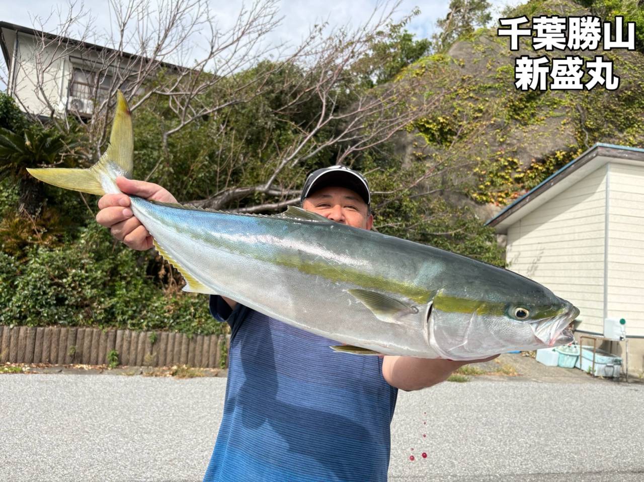 ワラサ船とスルメイカ船