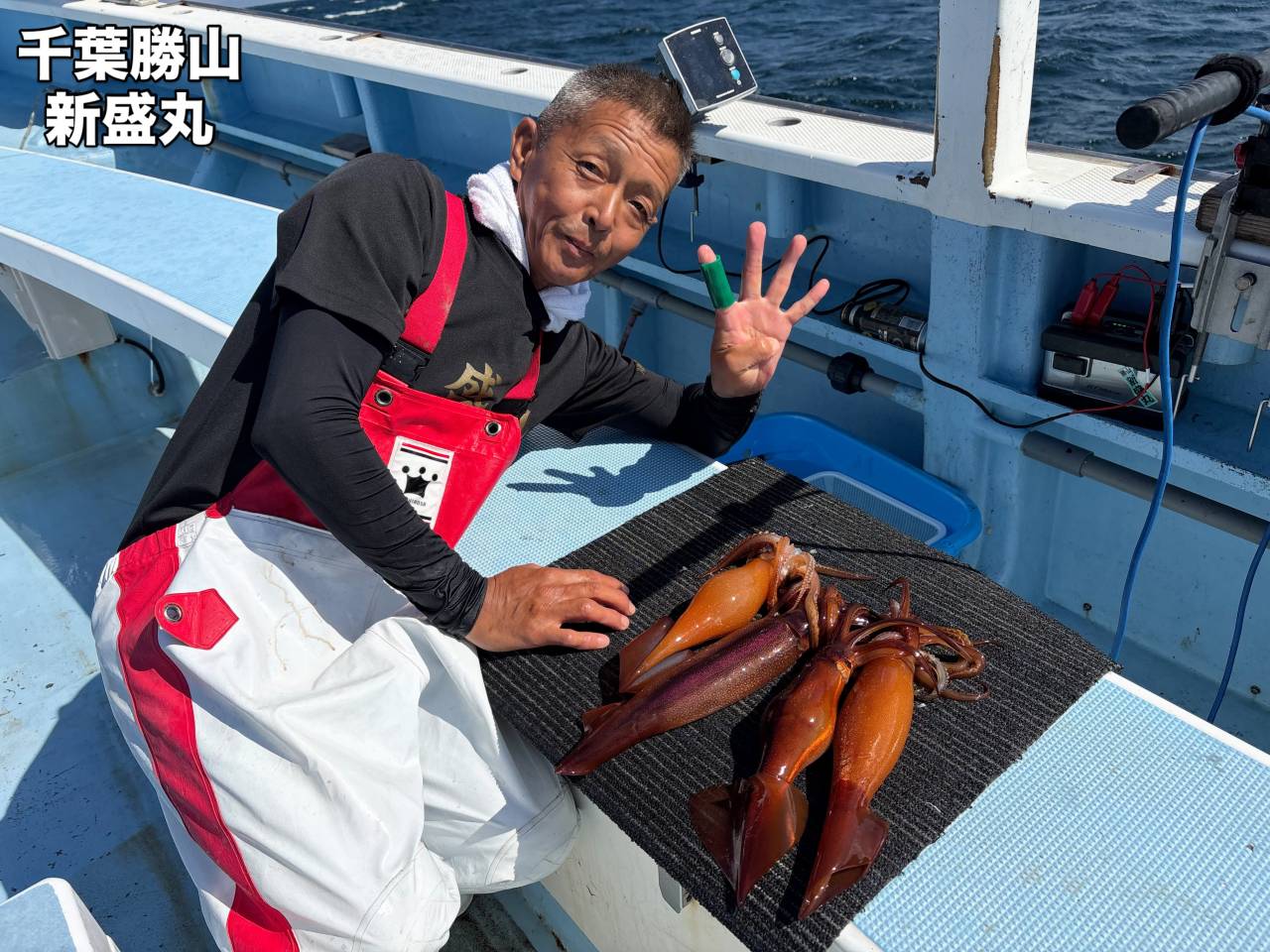 スルメイカ船