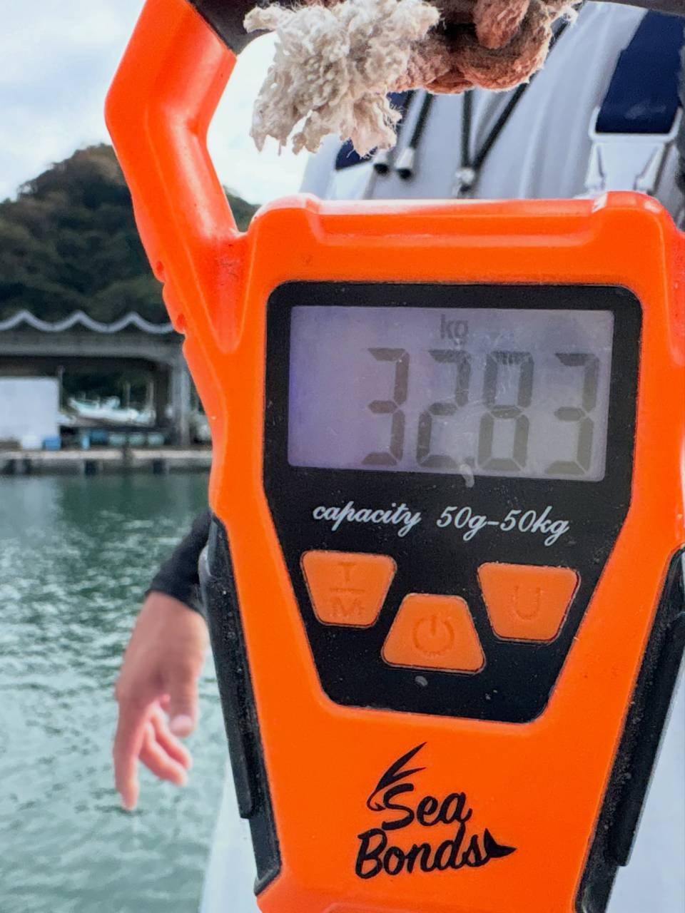 キハダマグロ