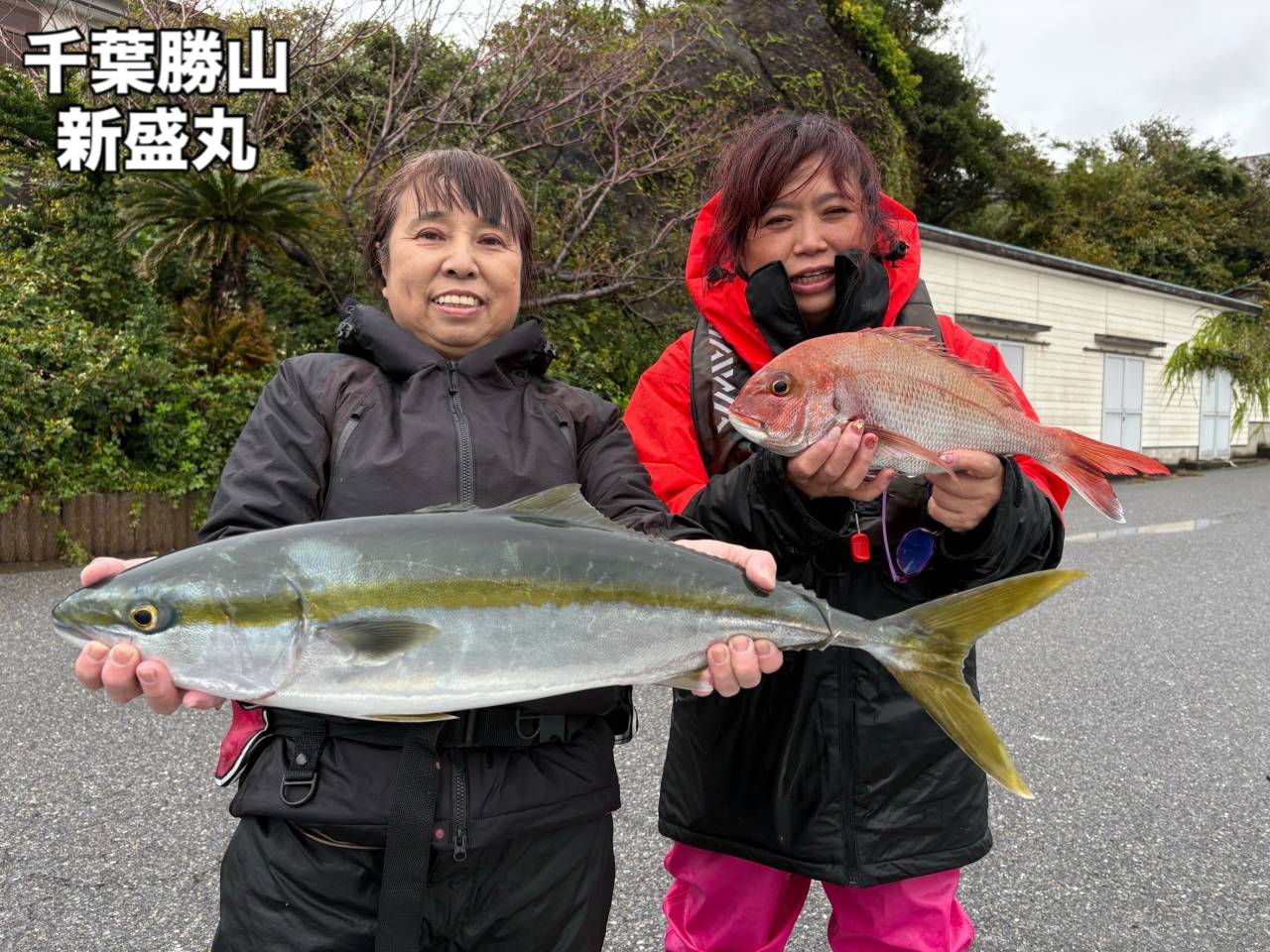 10月26日(月)ワラサ