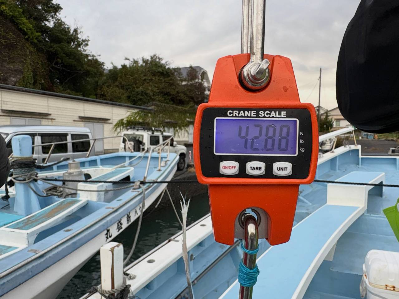 キハダマグロ船