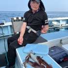 ７月９日（水）スルメイカ