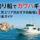 釣り船でカワハギを狙う人気エリア別おすすめ船宿と料金ガイド