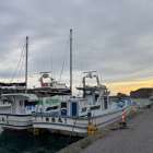 １１月２日（日）　キハダ船と仕立船