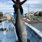 １１月４日（火）キハダ/カツオ