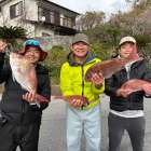 １１月２７日（木）スルメイカ/ヤリイカ/マダイ