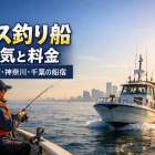キス釣り船で人気と料金比較！東京湾・神奈川・千葉のおすすめ船宿と仕掛け解説