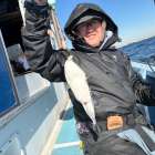 １月３０日（金）お休み