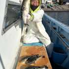 1月29日（木）トラフグ