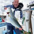 ３月２日（月）ヤリイカ/トラフグ